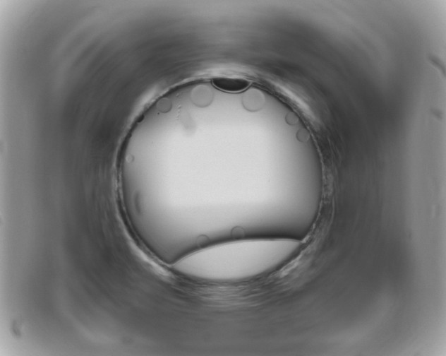 X0000095901471200801110754
