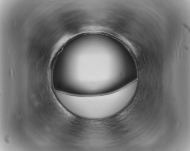 X0000095901472200801110754