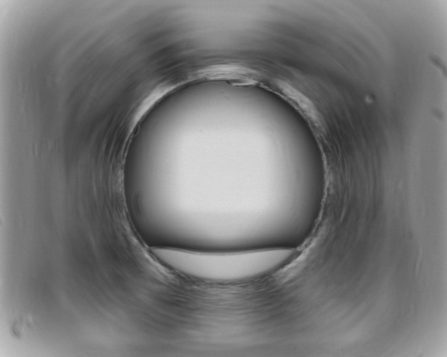 X0000095901473200801110754