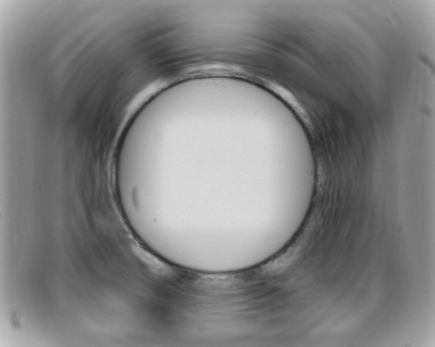 X0000095901474200801110754
