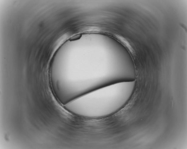 X0000095901475200801110754