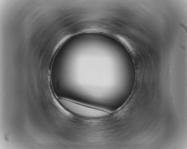 X0000095901476200801110754