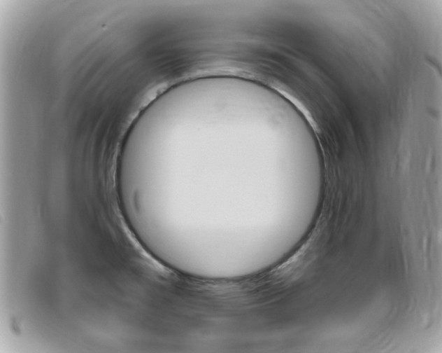 X0000095901477200801110754