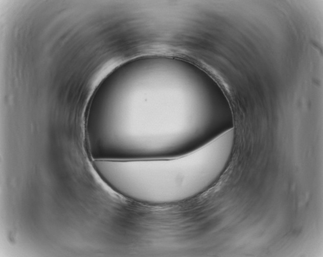 X0000095901479200801110754