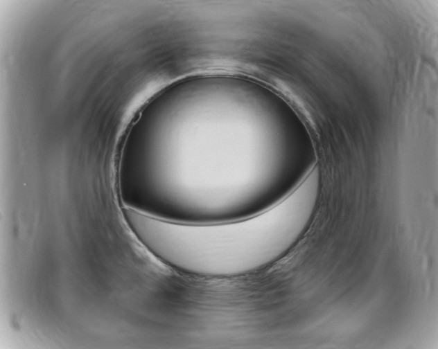 X0000095901480200801110754