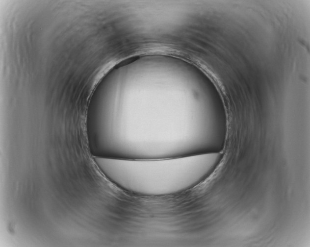 X0000095901481200801110754