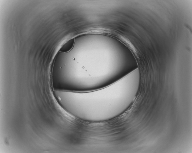 X0000095901483200801110754