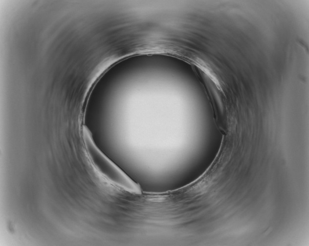 X0000095901484200801110754