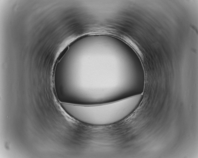 X0000095901485200801110754