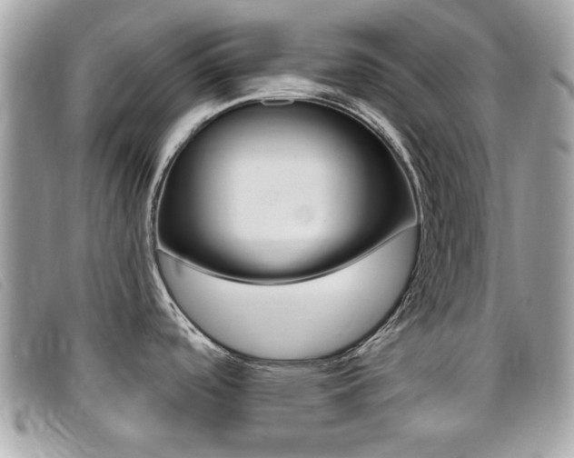 X0000095901488200801110754
