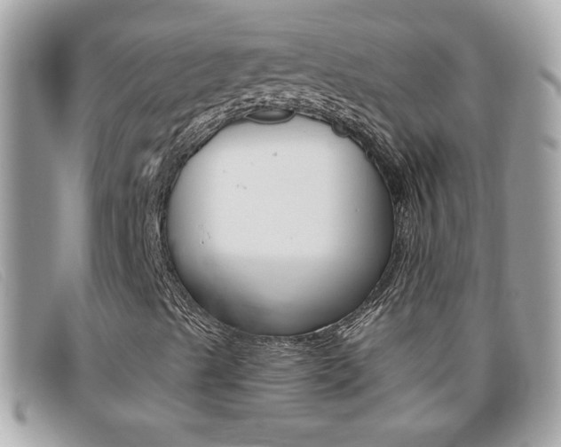 X0000095901489200801110753