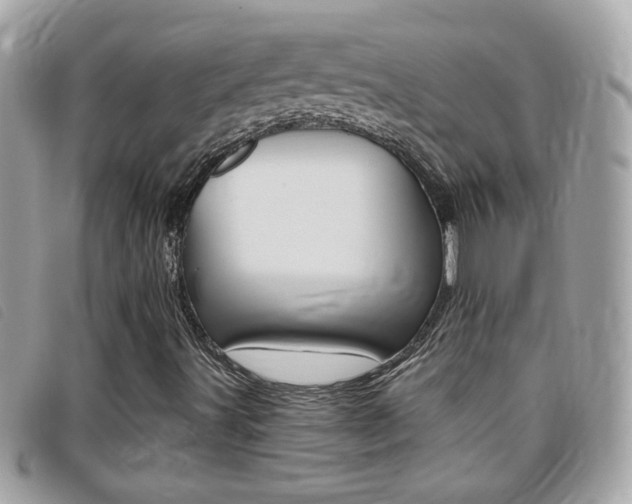 X0000095901491200801110753