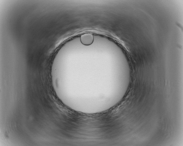 X0000095901496200801110753