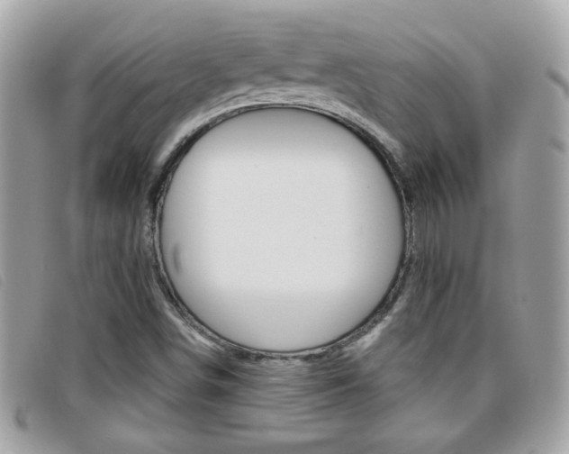X0000095901498200801110753