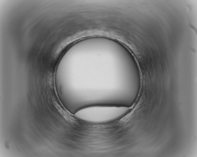 X0000095901499200801110753