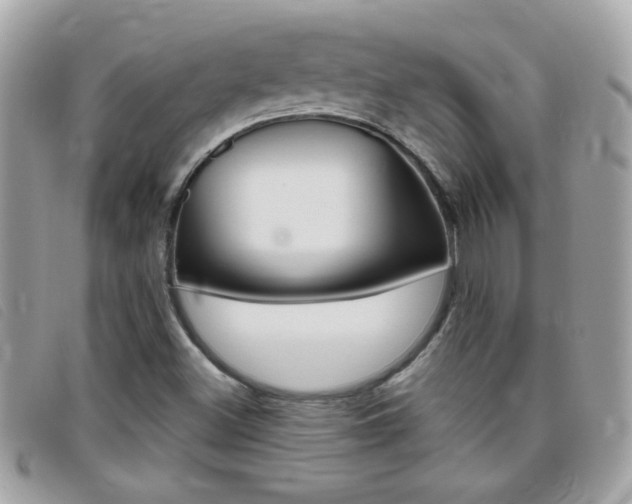 X0000095901500200801110753