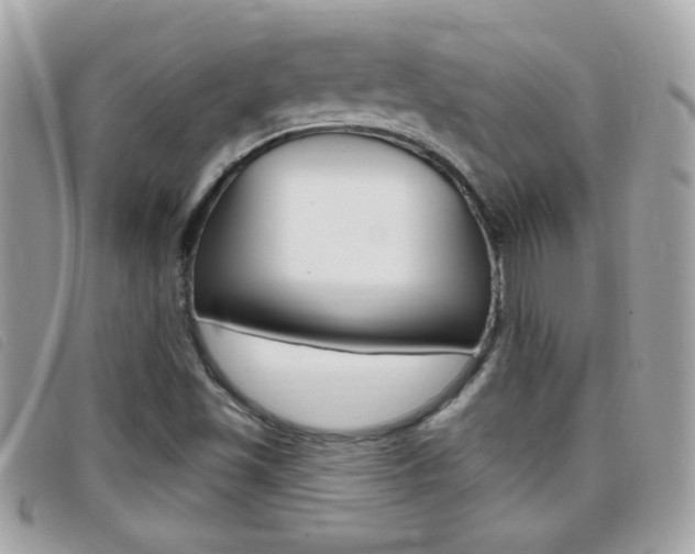 X0000095901501200801110753