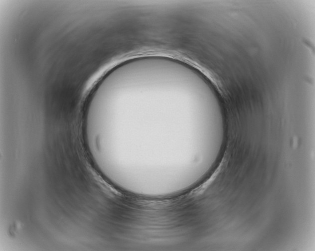 X0000095901502200801110753