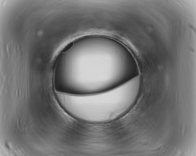 X0000095901504200801110753