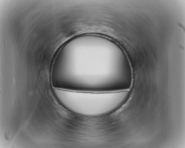 X0000095901505200801110753