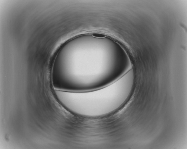 X0000095901506200801110753
