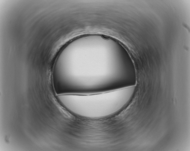 X0000095901507200801110753