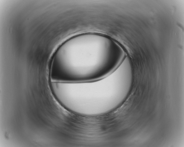 X0000095901508200801110753