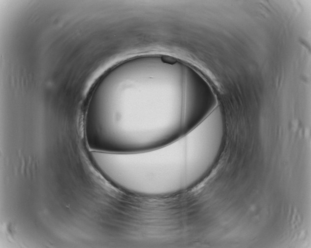X0000095901510200801110753