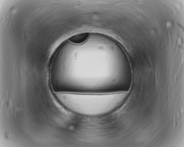 X0000095901511200801110753