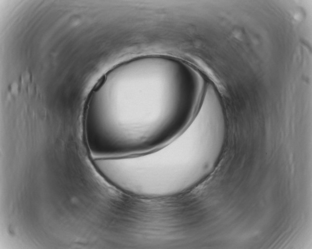 X0000095901512200801110753