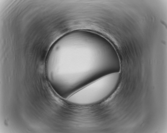 X0000095901513200801110753
