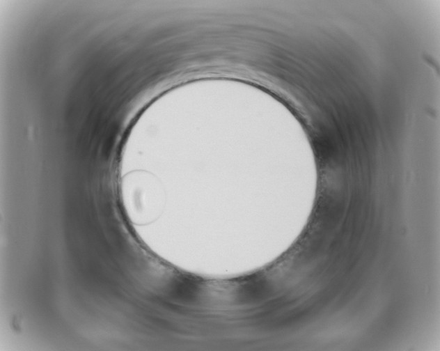 X0000095901514200801110753