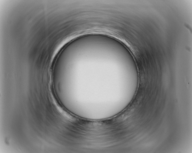 X0000095901515200801110753
