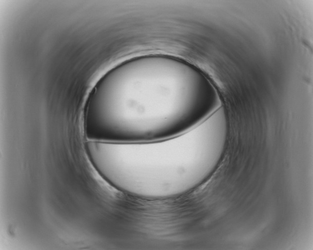 X0000095901516200801110753