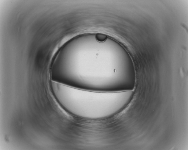 X0000095901517200801110753