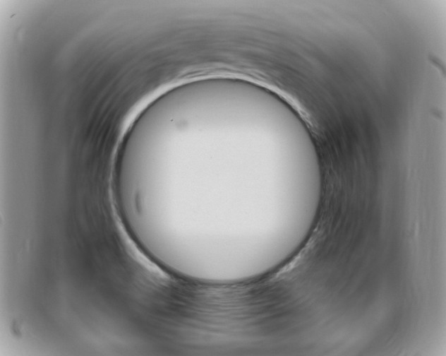 X0000095901518200801110753