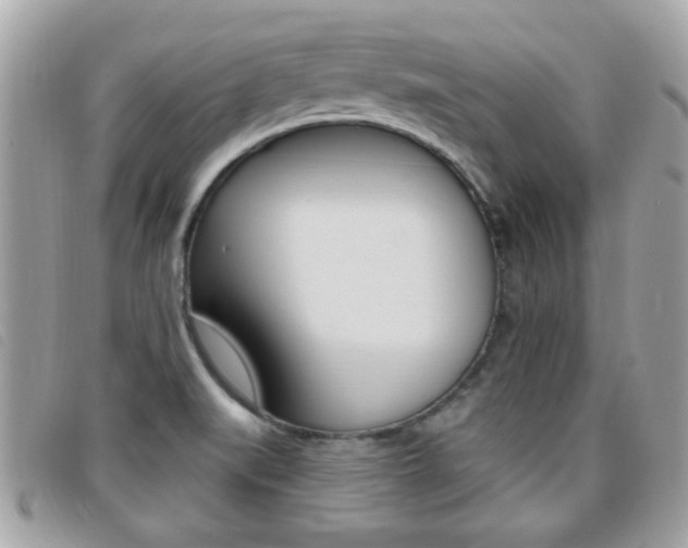X0000095901519200801110753