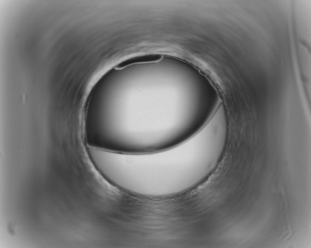 X0000095901520200801110753