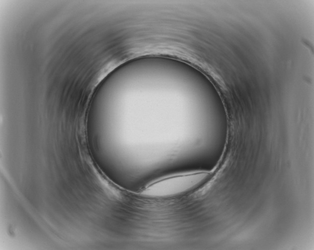 X0000095901521200801110753