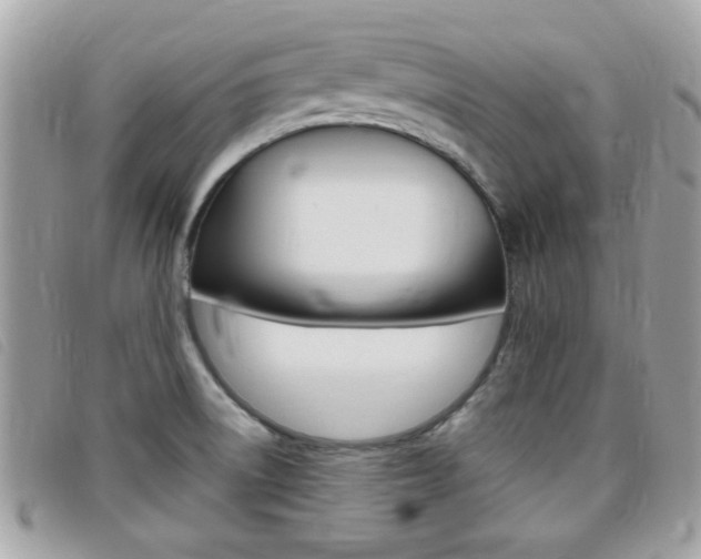X0000095901522200801110753