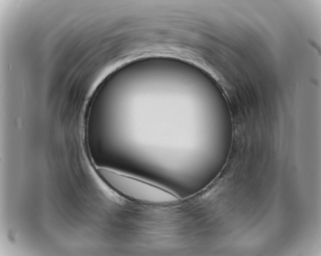 X0000095901523200801110753