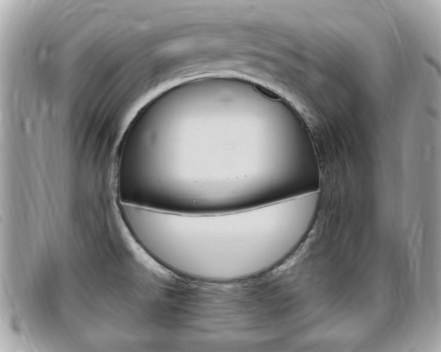 X0000095901526200801110753