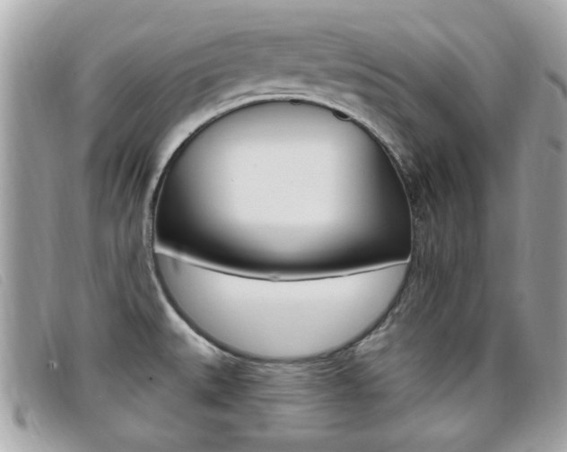 X0000095901527200801110754
