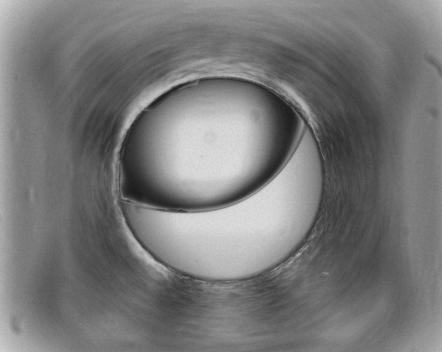 X0000095901528200801110754