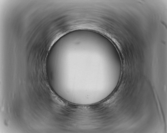 X0000095901529200801110754