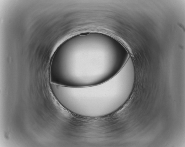 X0000095901530200801110754