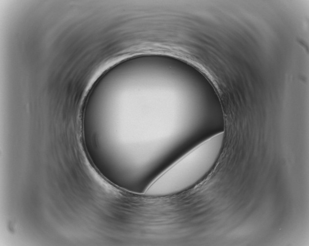 X0000095901531200801110754
