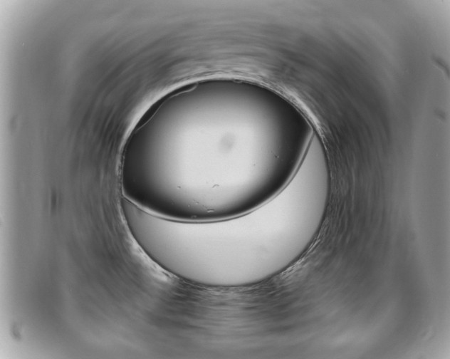 X0000095901532200801110754