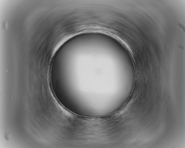 X0000095901533200801110754
