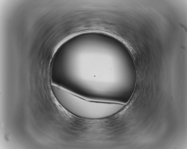 X0000095901534200801110754